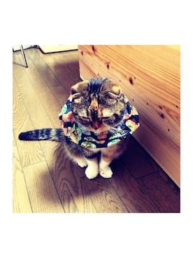 ɐɥsı̣uɐɯさんのコーディネート