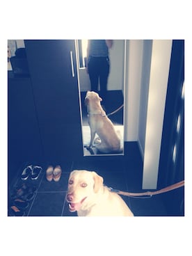 ɐɥsı̣uɐɯさんのコーディネート