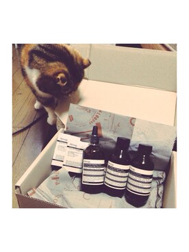 「Aesop」｜ɐɥsı̣uɐɯさん（レディース・167cm）の夏コーディネート