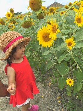 merinaさんのコーディネート