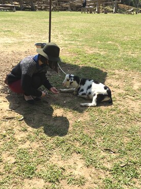 「アイテム（アンサンブル）」を使った、ちー山さん（レディース・153cm）の春コーディネート
