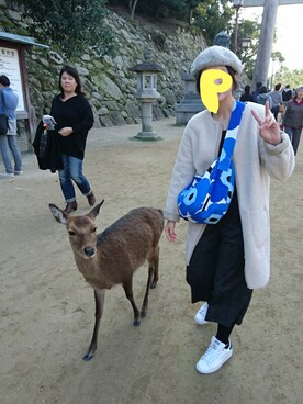 ぱっしょん。さん(レディース・162cm)の秋コーディネート