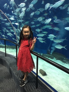 fly712さんのコーディネート