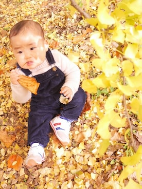 bakushojiさんのコーディネート