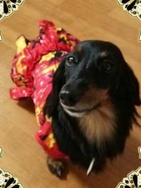 ひなたんのママさんのコーディネート