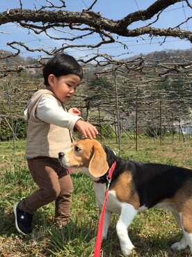 LILLBYさんのコーディネート