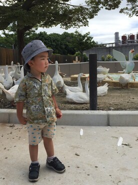 LILLBYさんのコーディネート