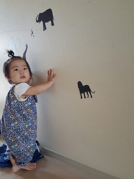 はすさんのコーディネート