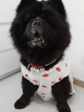 jobiechanさんのコーディネート