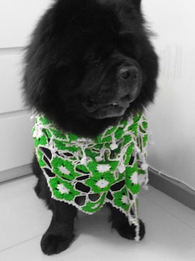 jobiechanさんのコーディネート