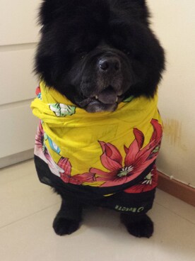 jobiechanさんのコーディネート