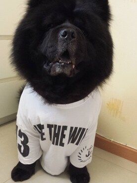 jobiechanさんのコーディネート