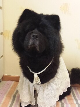 jobiechanさんのコーディネート