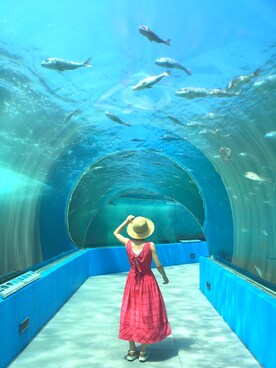 mimiko＊さんのコーディネート