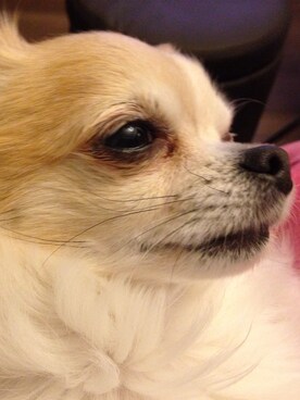 muffinさんのコーディネート