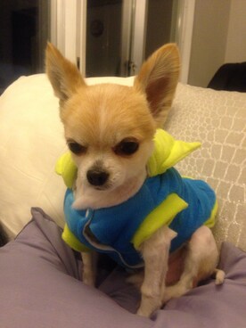 muffinさんのコーディネート