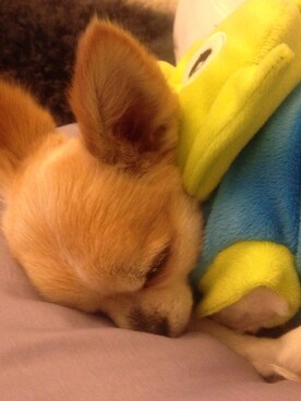 muffinさんのコーディネート