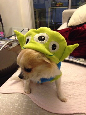 muffinさんのコーディネート