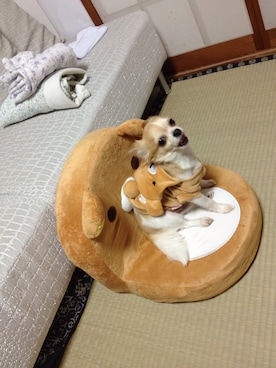 muffinさんのコーディネート