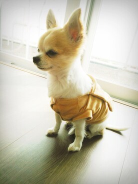 muffinさんのコーディネート