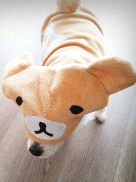 muffinさんのコーディネート