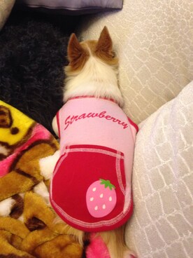 muffinさんのコーディネート