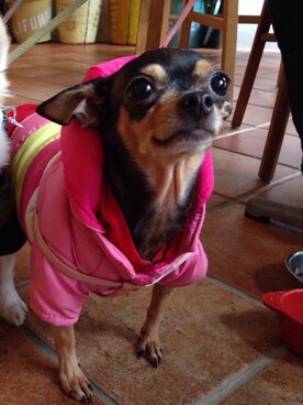 muffinさんのコーディネート