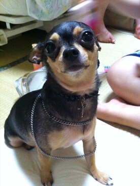 muffinさんのコーディネート