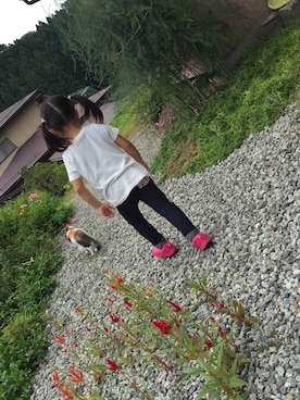 Yuka Hadaさんのコーディネート