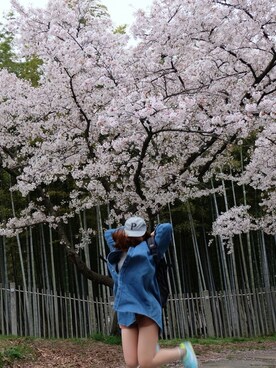 おつさんのコーディネート