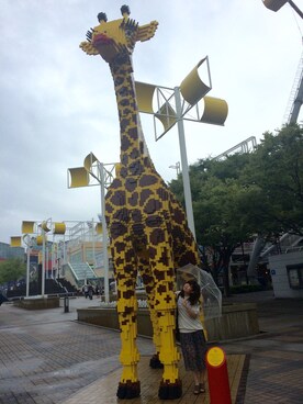 おつさんのコーディネート