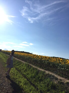 おつさんのコーディネート