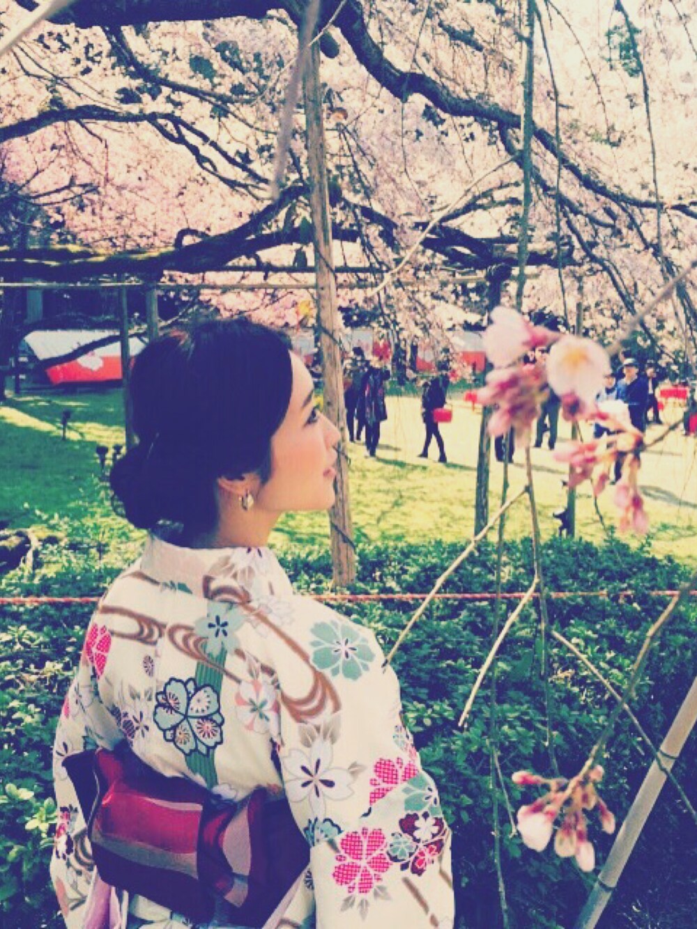 「花見、着物、和服、桜、レンタル」｜「レンタルのアイテム（浴衣、イエロー系）」を使った、mimiusaさん（レディース・167cm）の春コーディネートの1枚目の写真
