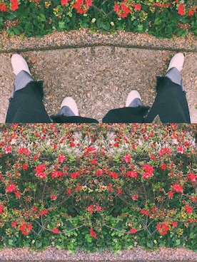 mekさんのコーディネート