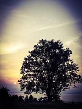 takahiroさんのコーディネート