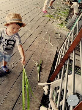 Terryさんのコーディネート