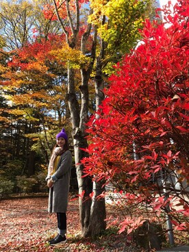 Peko Linさんのコーディネート