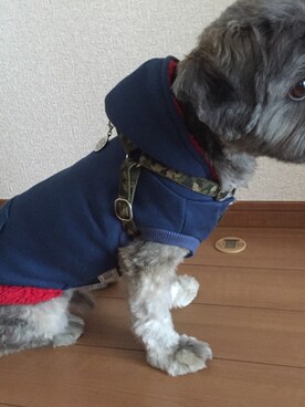 「ペッツワンのアイテム（スウェット、ブルー系）」を使った、かゆみさん（レディース）の秋コーディネート