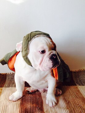 こはいろさんのコーディネート