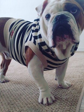 こはいろさんのコーディネート