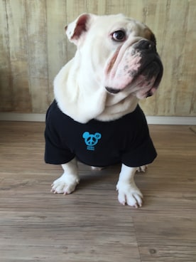 こはいろさんのコーディネート