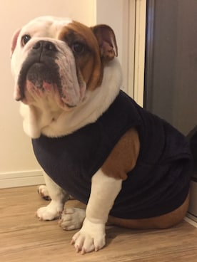 「UNIQLOコーデ」｜「アイテム（その他アウター）」を使った、こはいろさん（キッズ・110cm）の秋コーディネート