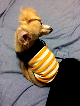 Koji Yoshitakeさんのコーディネート