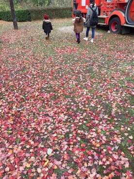 miiyさんのコーディネート