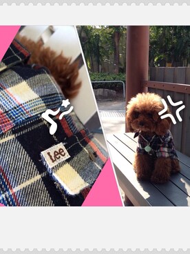 Honeyzhomyさんのコーディネート