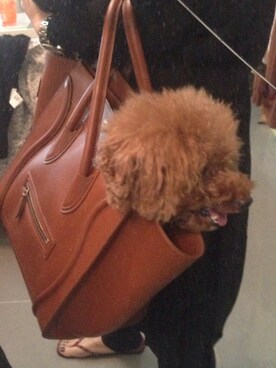 Honeyzhomyさんのコーディネート