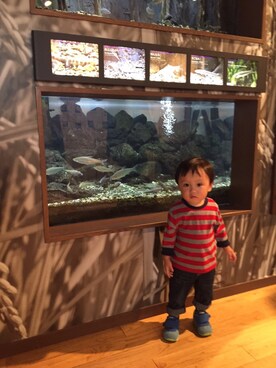 MINA◡̈☆さんのコーディネート