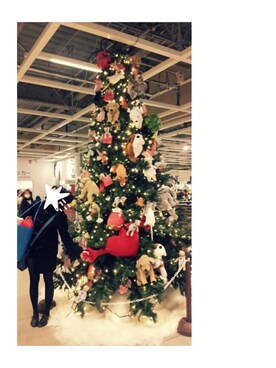 ｋａｔｉｅさんのコーディネート