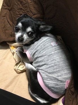 チロルさんのコーディネート