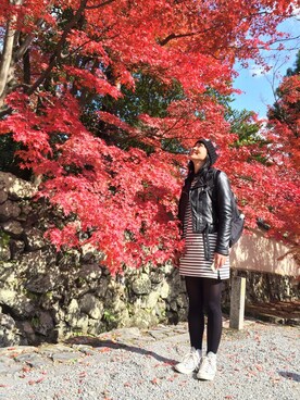 sekomakiさんのコーディネート